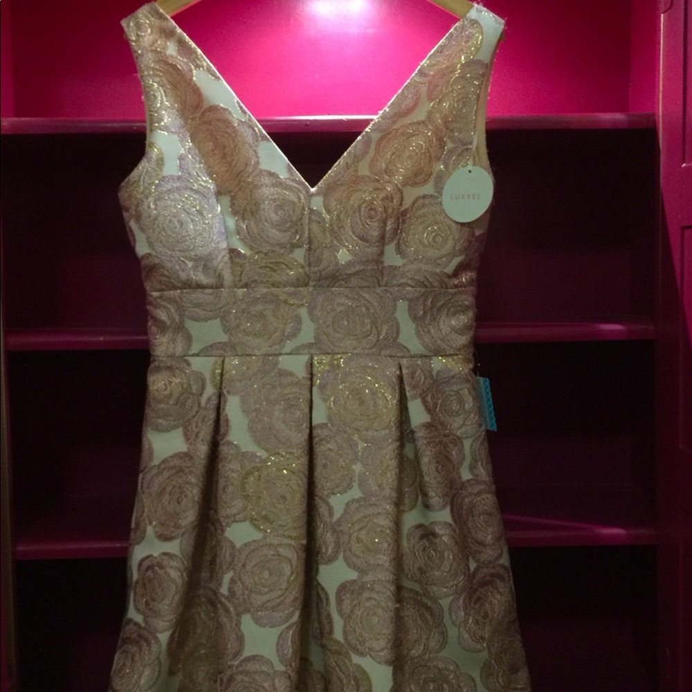 Pink and Gold Luxxel Party Holiday Dress - Large